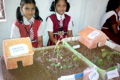 SVBVidyapith-img43
